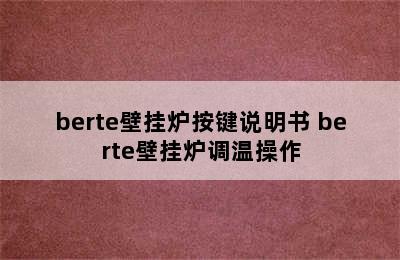 berte壁挂炉按键说明书 berte壁挂炉调温操作